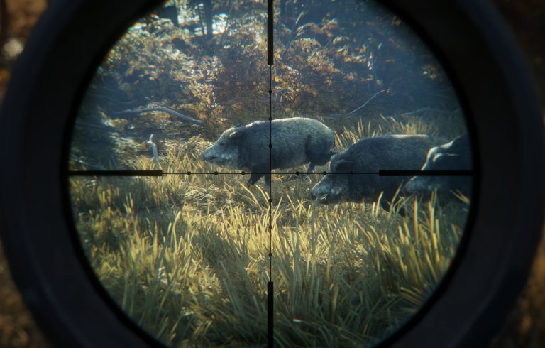 Wertschätzung: TheHunter – Call of the Wild