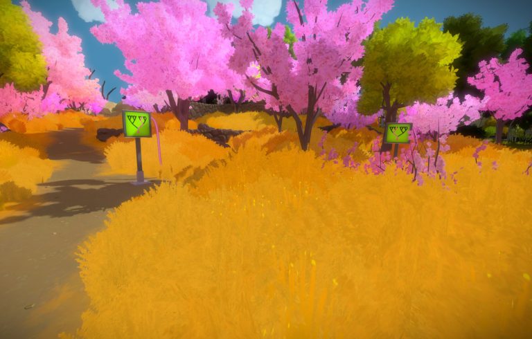 The Witness