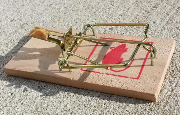 Runde #282 – Fallstricke der Spielkritik