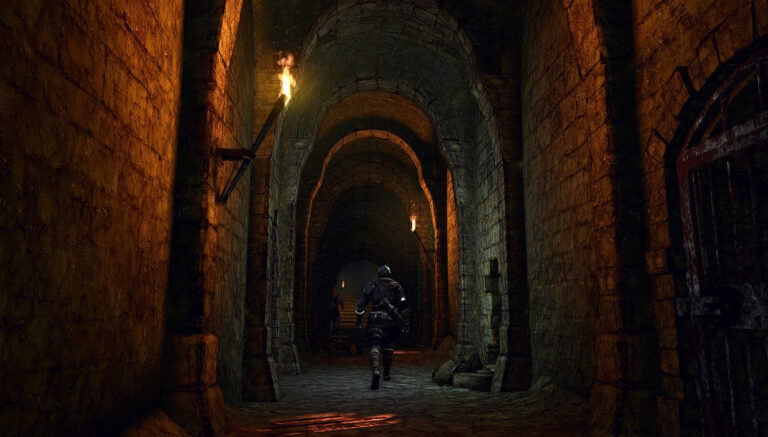 Ein Spaziergang durch: Dark Souls 1 (Undead Asylum)