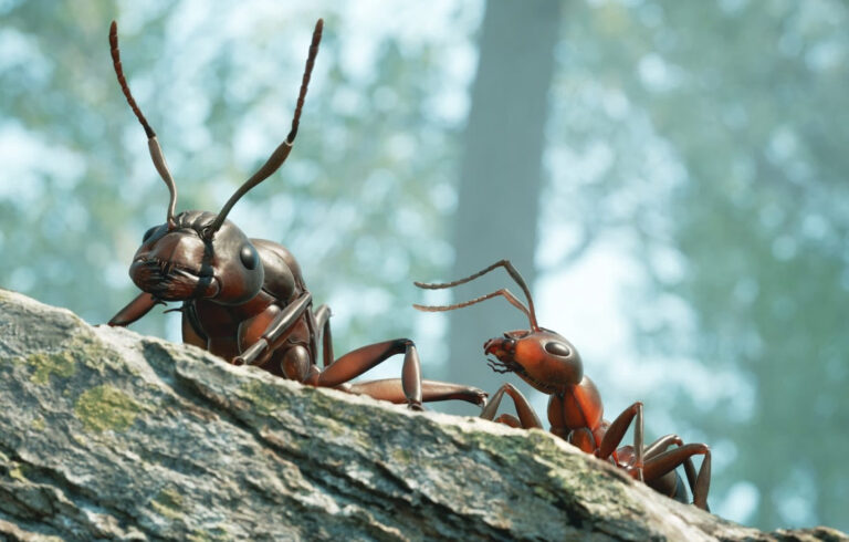 Empire of the Ants