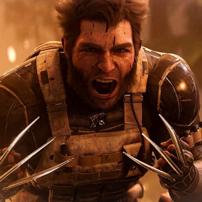 Wolverine_Box